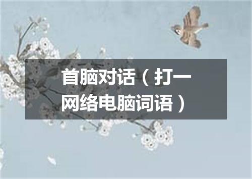 首脑对话（打一网络电脑词语）