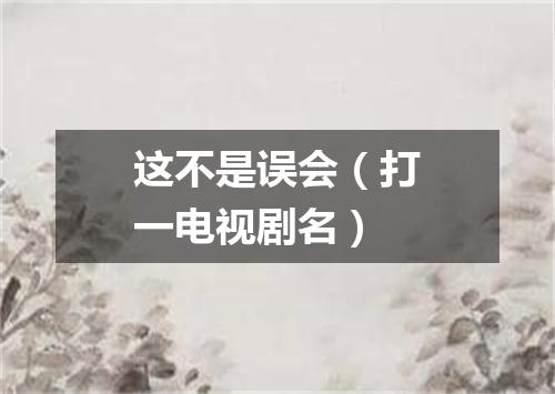 这不是误会（打一电视剧名）