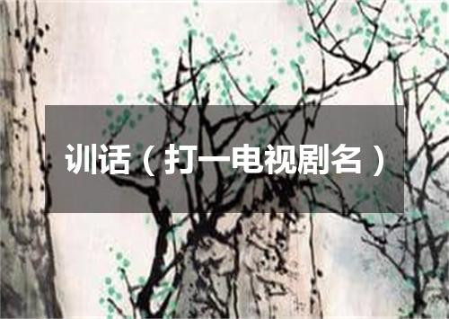 训话（打一电视剧名）
