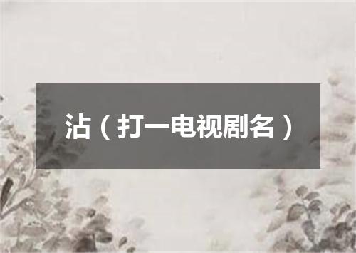 沾（打一电视剧名）