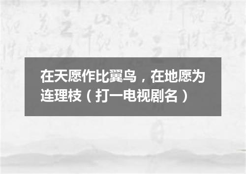 在天愿作比翼鸟，在地愿为连理枝（打一电视剧名）