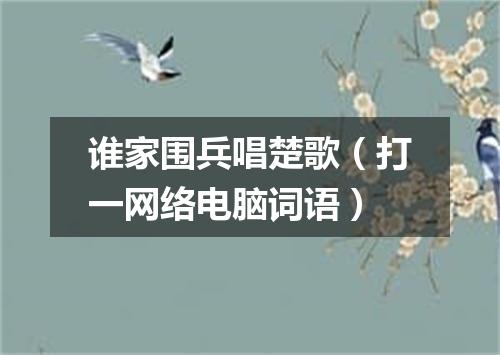 谁家围兵唱楚歌（打一网络电脑词语）