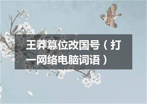 王莽篡位改国号（打一网络电脑词语）