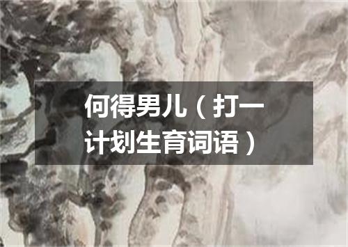 何得男儿（打一计划生育词语）