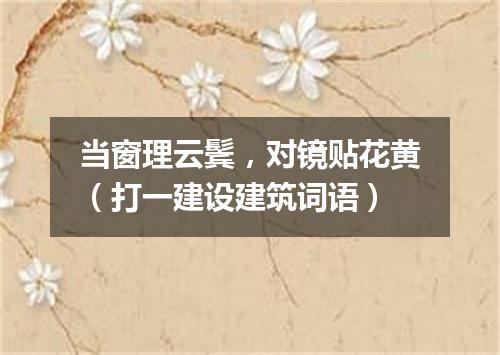 当窗理云鬓，对镜贴花黄（打一建设建筑词语）