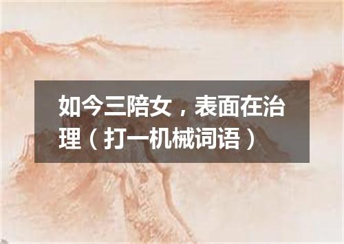 如今三陪女，表面在治理（打一机械词语）