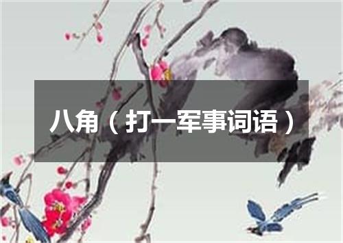 八角（打一军事词语）