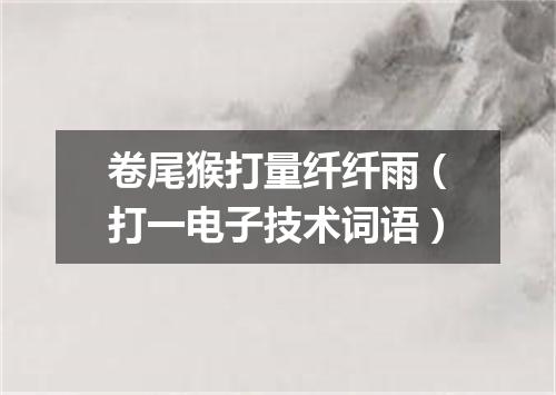 卷尾猴打量纤纤雨（打一电子技术词语）