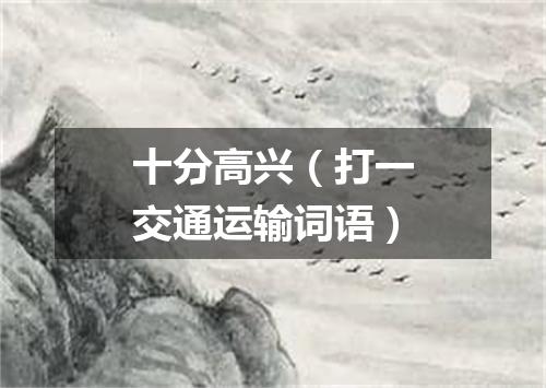 十分高兴（打一交通运输词语）