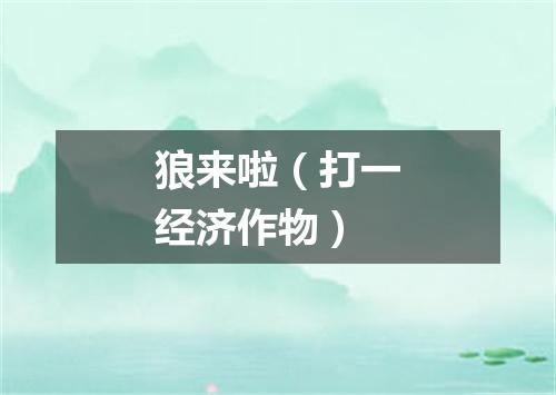 狼来啦（打一经济作物）