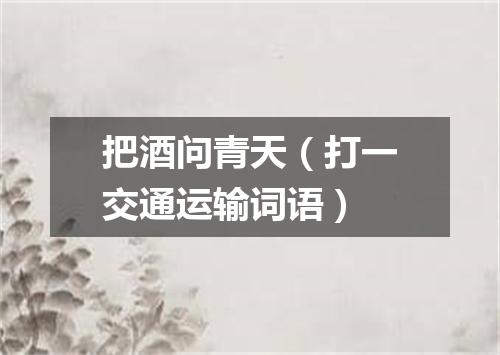 把酒问青天（打一交通运输词语）