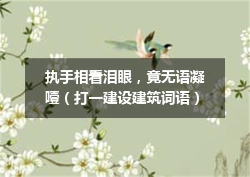 执手相看泪眼，竟无语凝噎（打一建设建筑词语）