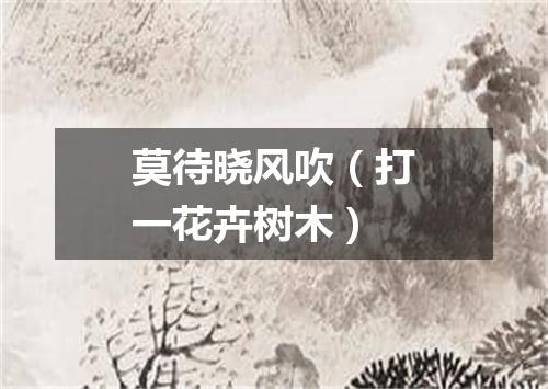 莫待晓风吹（打一花卉树木）