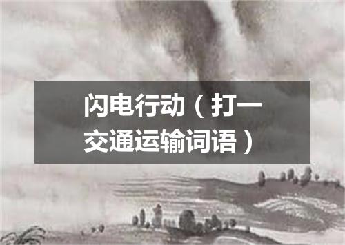 闪电行动（打一交通运输词语）