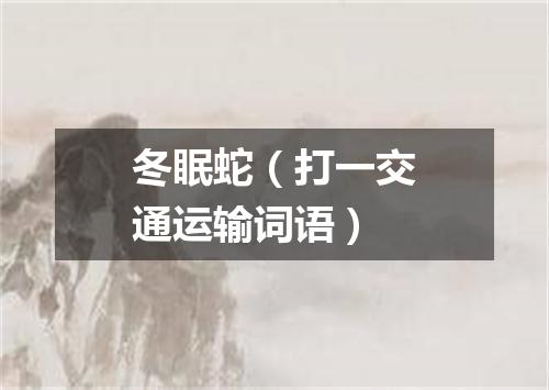 冬眠蛇（打一交通运输词语）