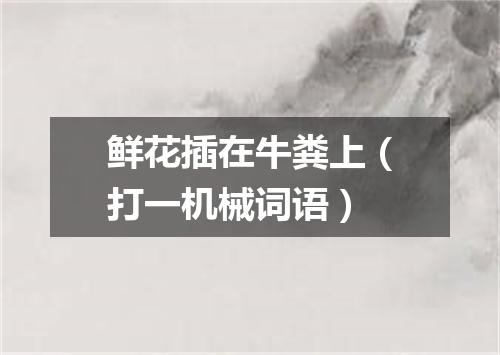 鲜花插在牛粪上（打一机械词语）