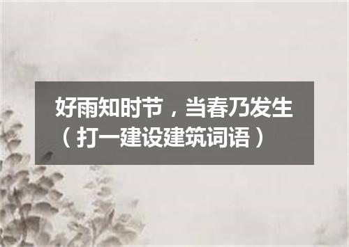 好雨知时节，当春乃发生（打一建设建筑词语）
