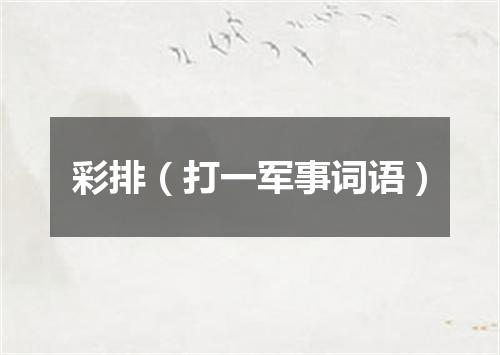 彩排（打一军事词语）