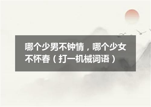 哪个少男不钟情，哪个少女不怀春（打一机械词语）