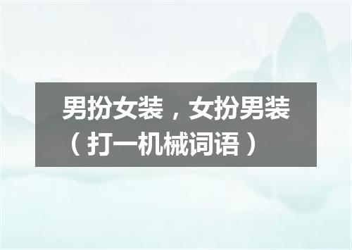 男扮女装，女扮男装（打一机械词语）
