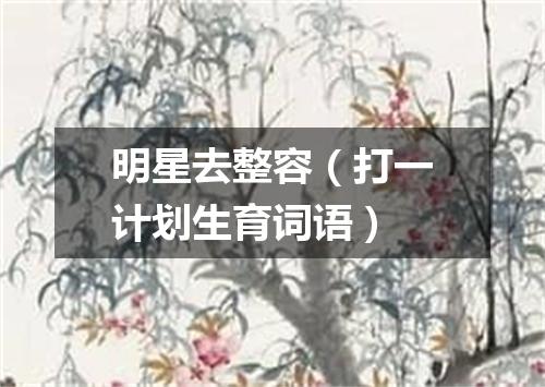 明星去整容（打一计划生育词语）