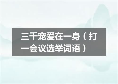 三千宠爱在一身（打一会议选举词语）