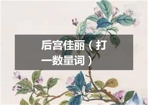 后宫佳丽（打一数量词）