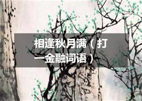 相逢秋月满（打一金融词语）