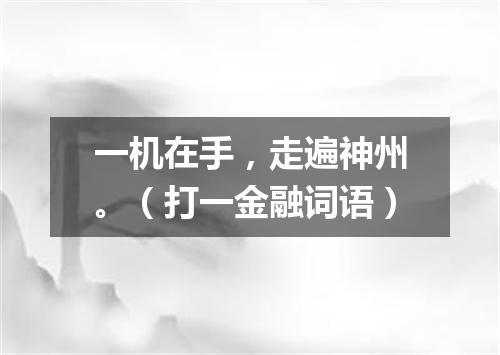 一机在手，走遍神州。（打一金融词语）