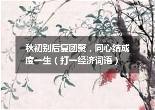 秋初别后复团聚，同心结成度一生（打一经济词语）