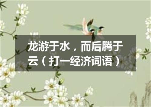 龙游于水，而后腾于云（打一经济词语）