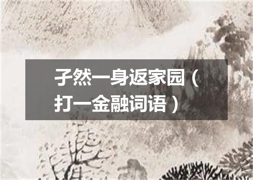 孑然一身返家园（打一金融词语）