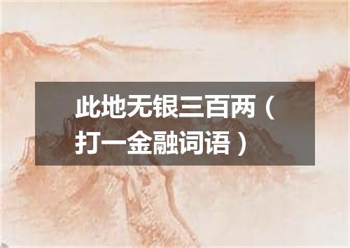 此地无银三百两（打一金融词语）
