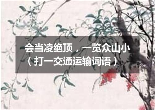 会当凌绝顶，一览众山小（打一交通运输词语）