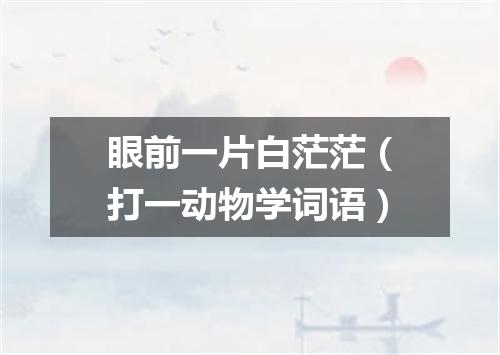 眼前一片白茫茫（打一动物学词语）