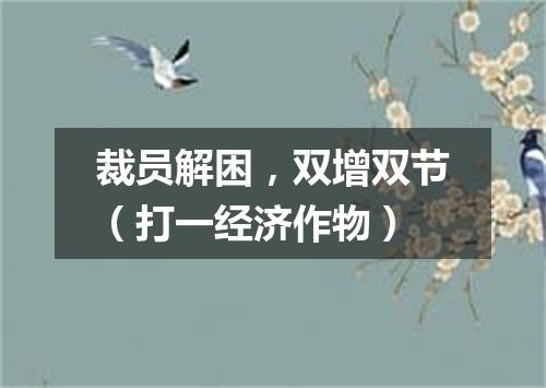裁员解困，双增双节（打一经济作物）