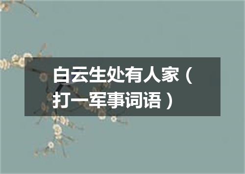 白云生处有人家（打一军事词语）