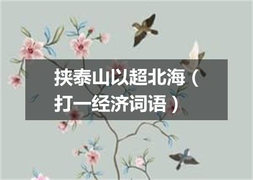 挟泰山以超北海（打一经济词语）