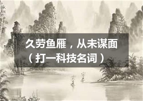 久劳鱼雁，从未谋面（打一科技名词）