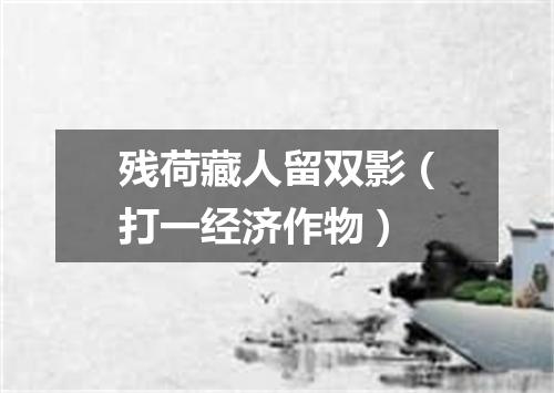 残荷藏人留双影（打一经济作物）