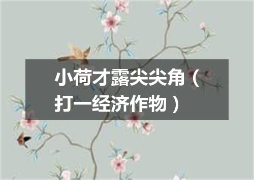 小荷才露尖尖角（打一经济作物）