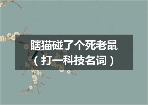 瞎猫碰了个死老鼠（打一科技名词）