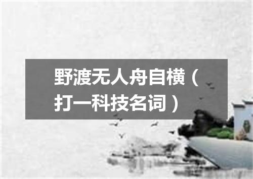 野渡无人舟自横（打一科技名词）