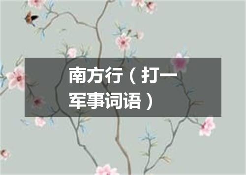南方行（打一军事词语）