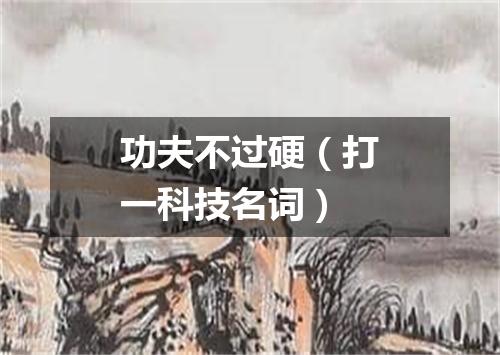 功夫不过硬（打一科技名词）