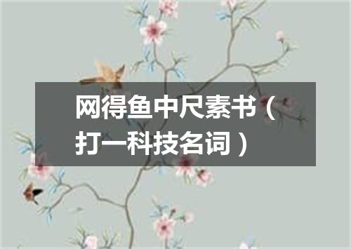 网得鱼中尺素书（打一科技名词）