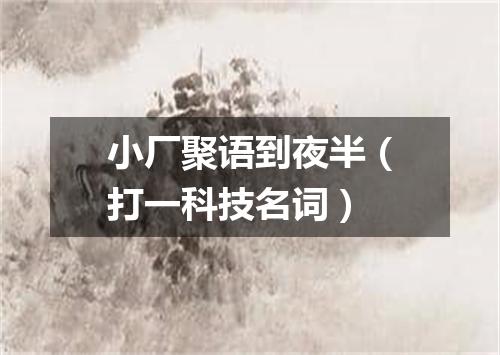 小厂聚语到夜半（打一科技名词）