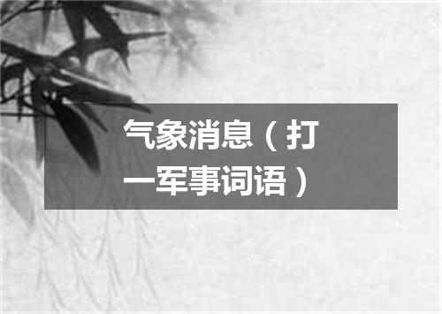 气象消息（打一军事词语）