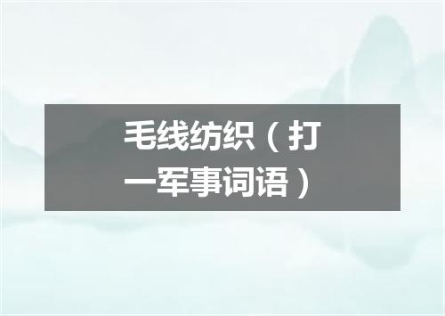 毛线纺织（打一军事词语）