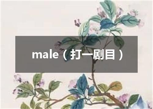 male（打一剧目）